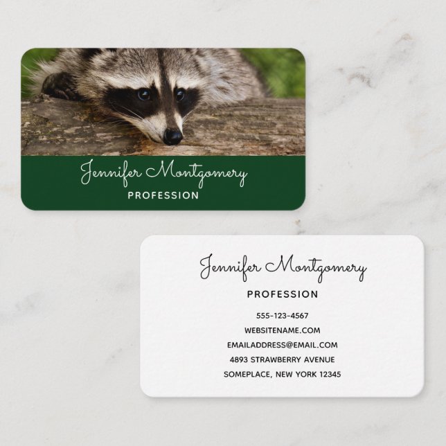 Cute Raccoon Resting on a Log Business Card (Front/Back)