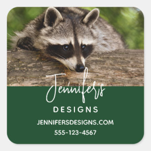 Cute Raccoon Resting on a Log Business Square Sticker