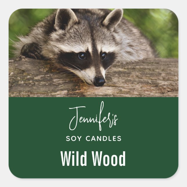 Cute Raccoon Resting on a Log Candle Business Square Sticker (Front)