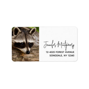 Cute Raccoon Resting on a Log  Label