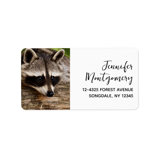 Cute Raccoon Resting on a Log Label (Front)