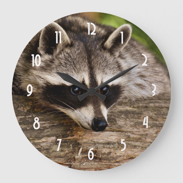 Cute Raccoon Resting on a Log Large Clock (Front)