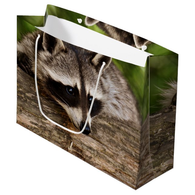 Cute Raccoon Resting on a Log Large Gift Bag (Front Angled)