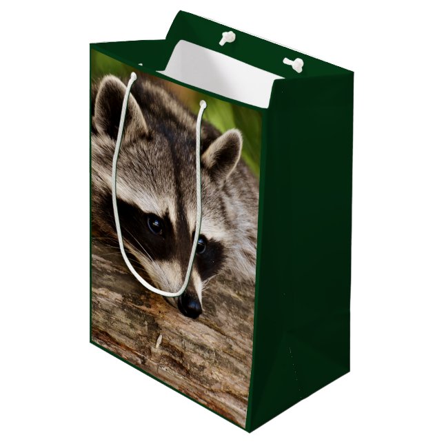 Cute Raccoon Resting on a Log Medium Gift Bag (Front Angled)