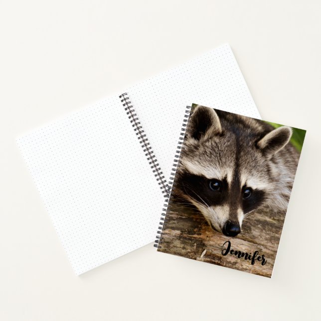Cute Raccoon Resting on a Log Notebook (Inside)