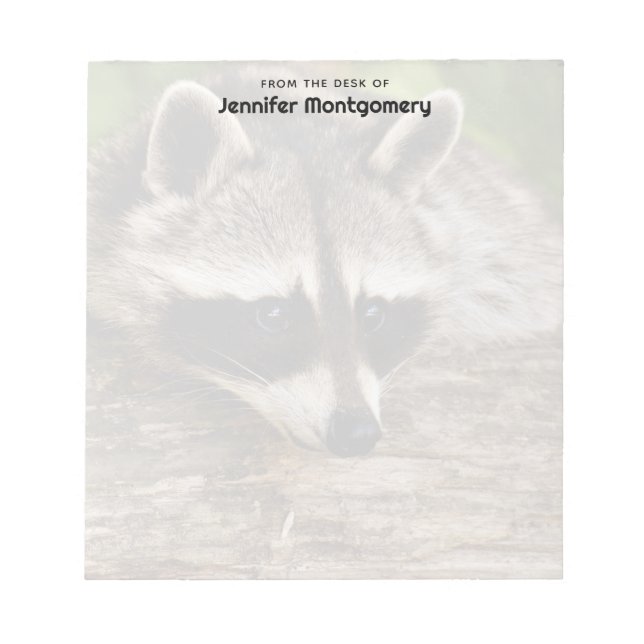 Cute Raccoon Resting on a Log Notepad (Front)
