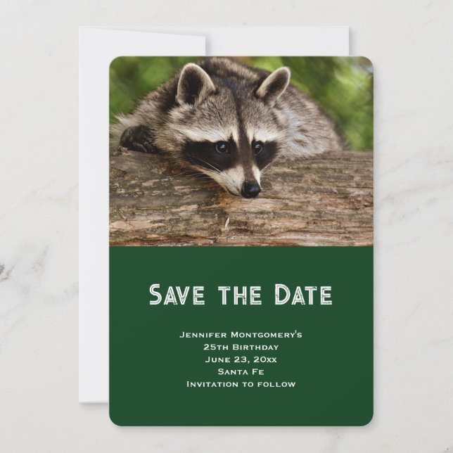 Cute Raccoon Resting on a Log Save The Date (Front)