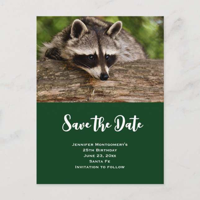 Cute Raccoon Resting on a Log Save the Date Invitation Postcard (Front)