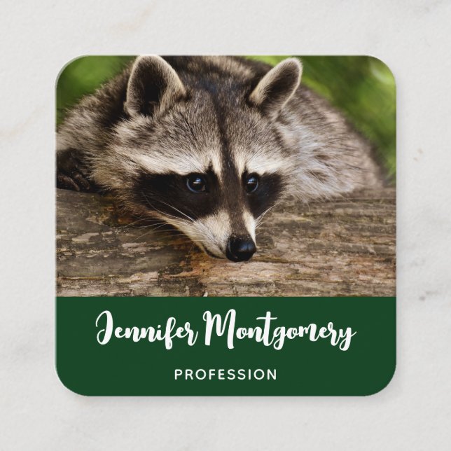 Cute Raccoon Resting on a Log Square Business Card (Front)