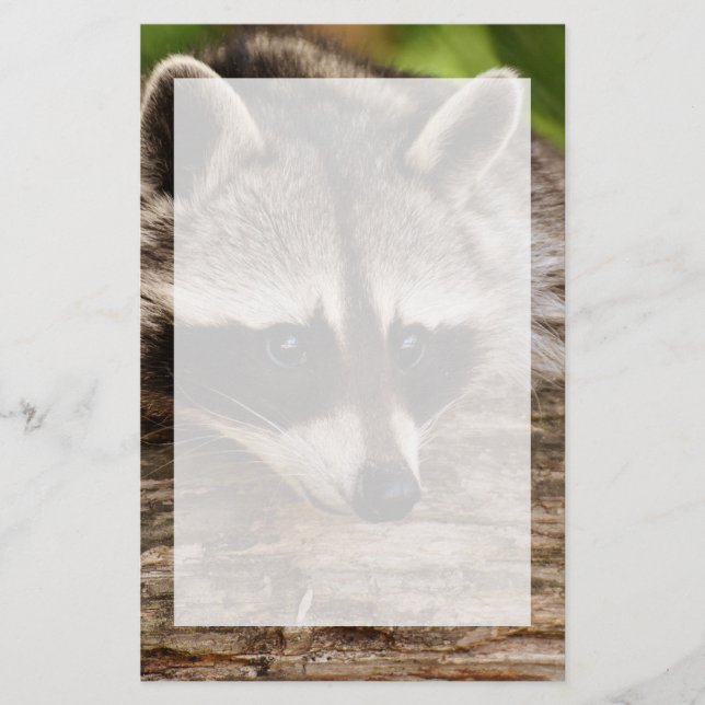 Cute Raccoon Resting on a Log Stationery (Front)