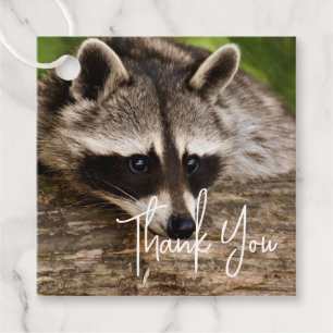 Cute Raccoon Resting on a Log Thank You Favour Tags