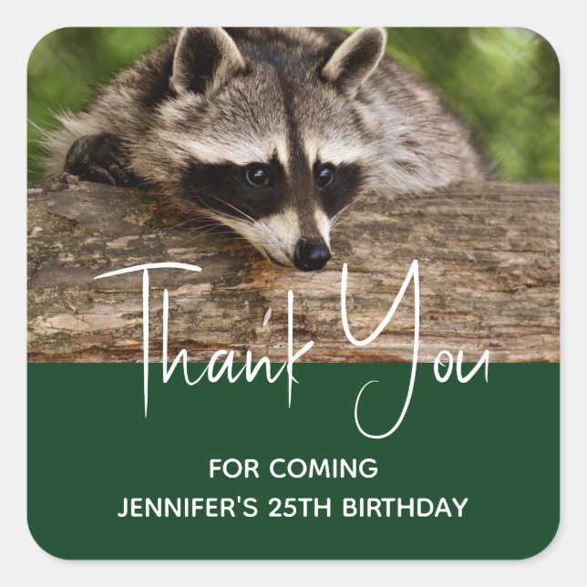 Cute Raccoon Resting on a Log Thank You Square Sticker (Front)