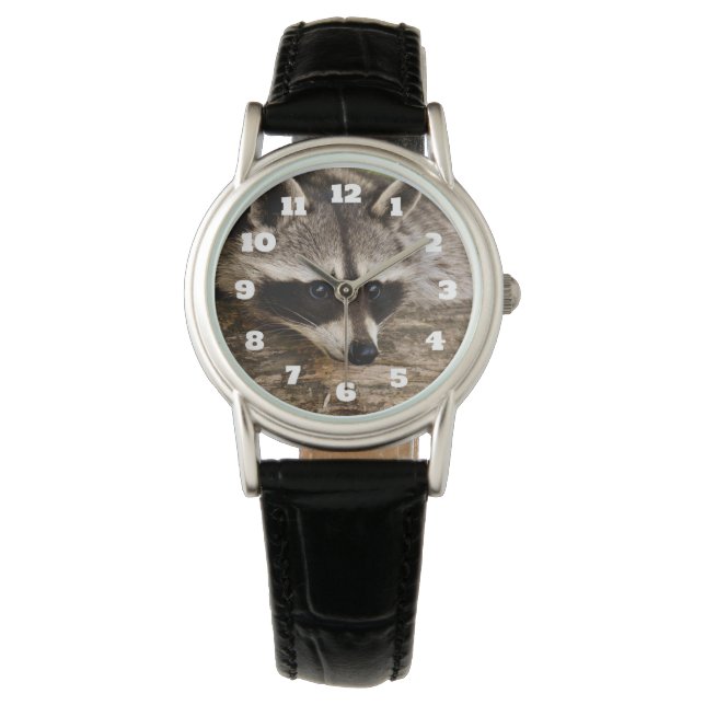 Cute Raccoon Resting on a Log Watch (Front)