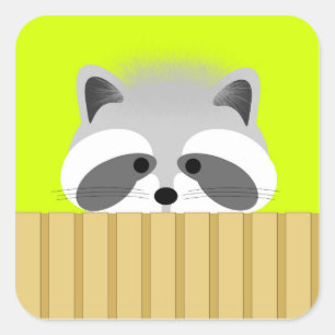 Cute Raccoon Stickers