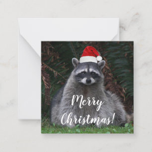 Cute Raccoon Wearing Red Santa Hat Card
