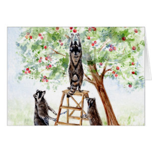 Cute Raccoons dans Apple Orchard