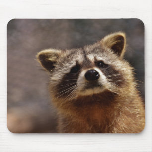 Cute Racoon Mouse Pad