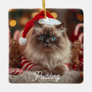 Cute Ragdoll Cat Christmas Magic Personalized  Ceramic Ornament