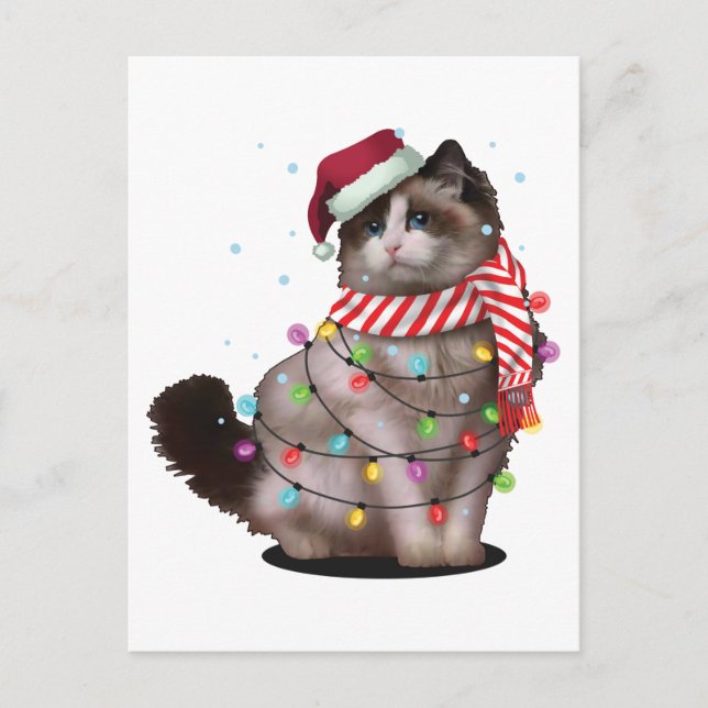 Cute Ragdoll Cat Lover Funny Xmas Holiday Gift Postcard (Front)