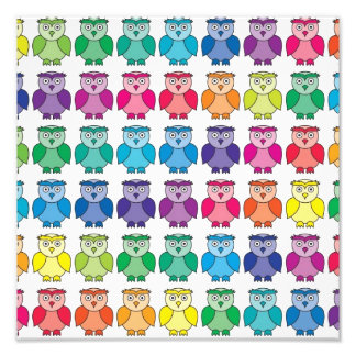 Cute Rainbow Owl Pattern Photo Print