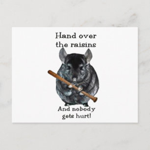 Cute Raisin Mean Chinchilla Postcard