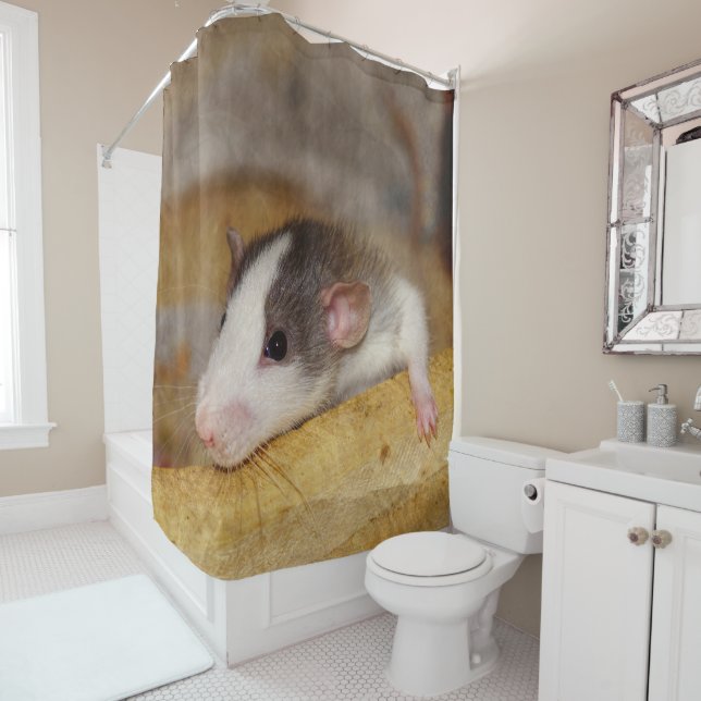 Cute Rat (In Situ)