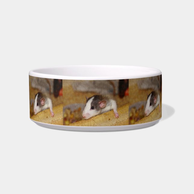 Cute Rat Bowl (Front)