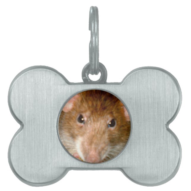 Cute Rat Face Pet Tag (Front)