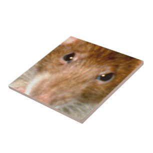 Cute Rat Face Tile