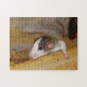 Cute Rat Jigsaw Puzzle