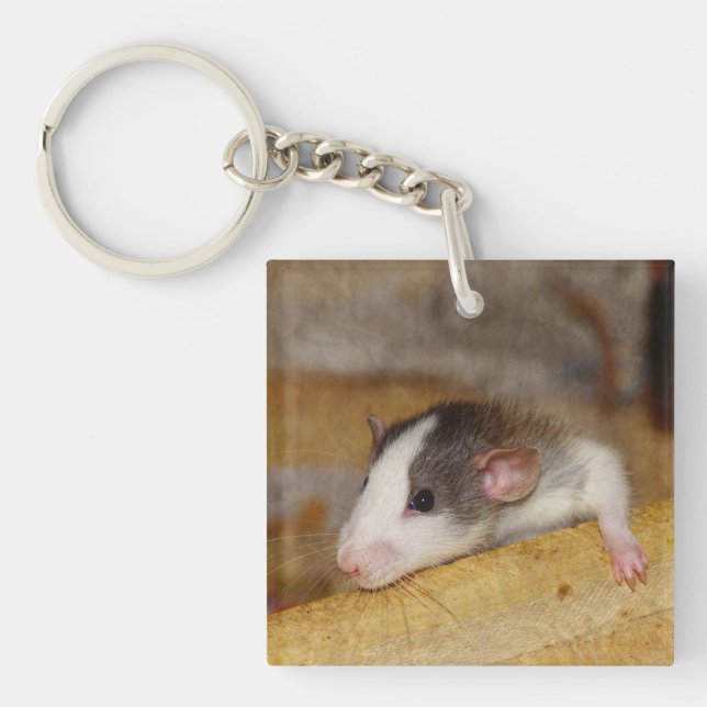 Cute Rat Keychain (Front)