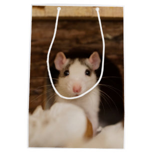 Cute Rat Medium Gift Bag