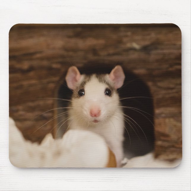 Cute Rat Mouse Pad (Front)