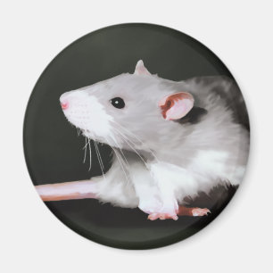 Cute Rat painting Magnet