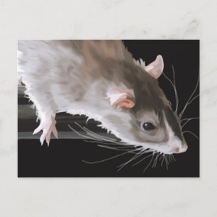 Cute Rat Postcard