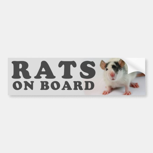(Cute) Rats on board Bumper Sticker (Front)