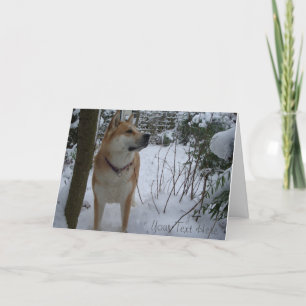 Cute red akita in the snow garden holiday card