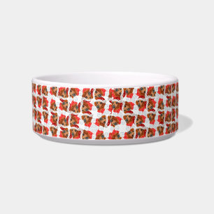 Cute Red Dachshund Name Christmas Pattern Bowl