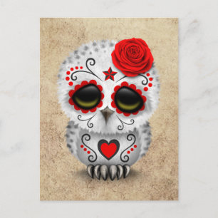 Cute Red Day of the Dead Sugar Skull Owl Rough Postcard