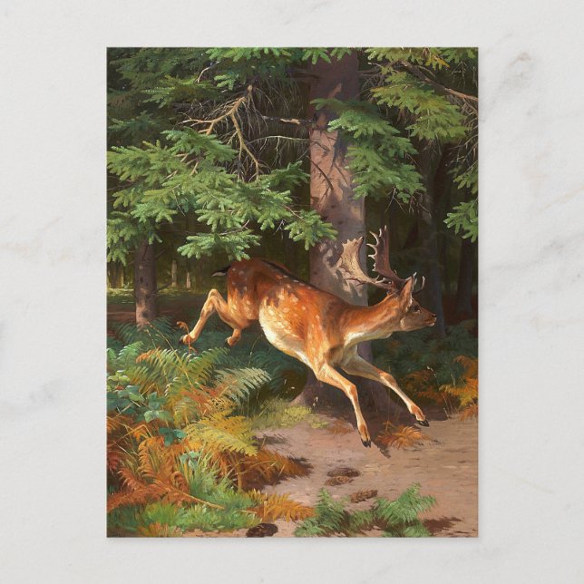 Cute Red Deer In The Forest Postcard (Front)