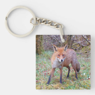 Cute Red Fox Keychain