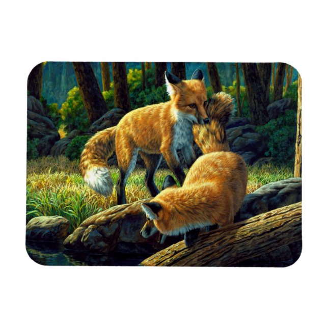 Cute Red Fox Pups Playing Magnet (Horizontal)