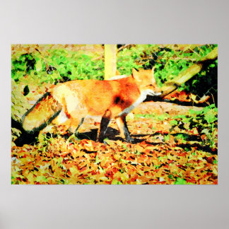 Cute Red Fox Watercolor Painting Wildlife  Art Poster