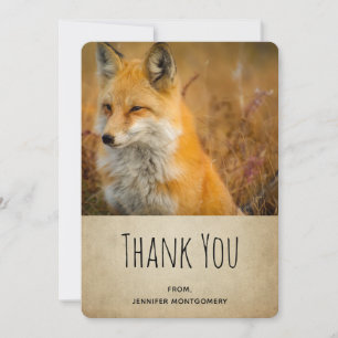 Cute Red Fox Wilderness Nature Photo Merci