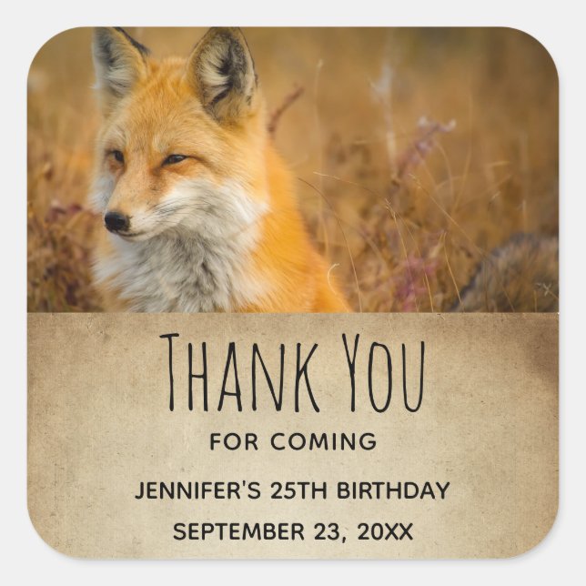 Cute Red Fox Wilderness Nature Photo Thank You Square Sticker (Front)