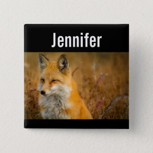 Cute Red Fox Wilderness Nature Photography 2 Inch Square Button