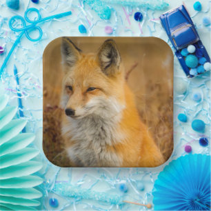 Cute Red Fox Wilderness Nature Photography Paper Plate