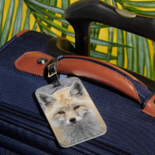 Cute Red Fox Wildlife Photo Luggage Tag
