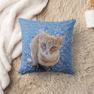 Cute red kitten on blue throw pillow