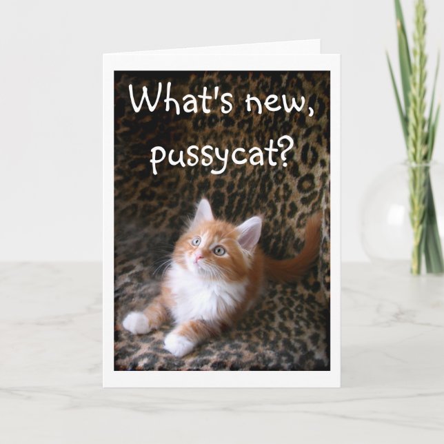 Cute red kitten on leopard print greeting card (Front)